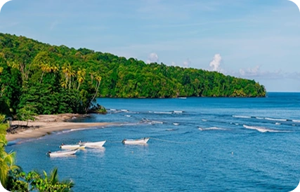Study in Caibbean-islands
