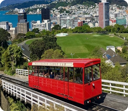 Study in New Zealand