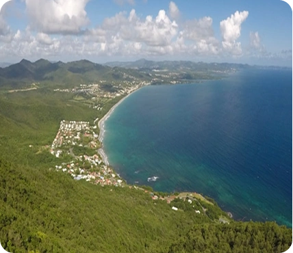 Study in West Indies